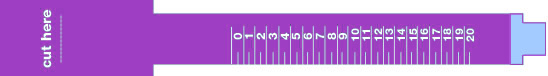 ring size strip chart